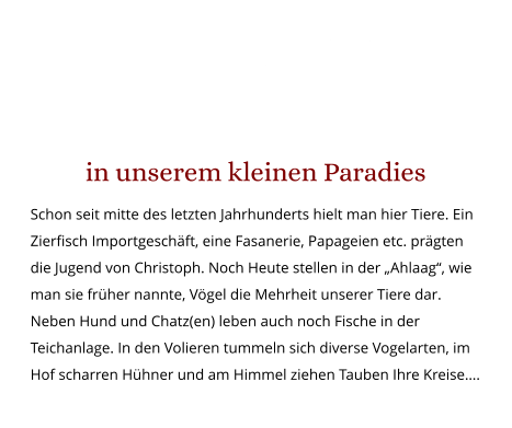 Herzlich Willkommen in unserem kleinen Paradies Schon seit mitte des letzten Jahrhunderts hielt man hier Tiere. Ein Zierfisch Importgeschäft, eine Fasanerie, Papageien etc. prägten die Jugend von Christoph. Noch Heute stellen in der „Ahlaag“, wie man sie früher nannte, Vögel die Mehrheit unserer Tiere dar. Neben Hund und Chatz(en) leben auch noch Fische in der Teichanlage. In den Volieren tummeln sich diverse Vogelarten, im Hof scharren Hühner und am Himmel ziehen Tauben Ihre Kreise….